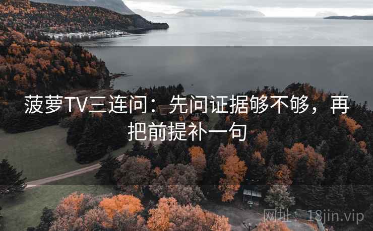 菠萝TV三连问：先问证据够不够，再把前提补一句  第2张